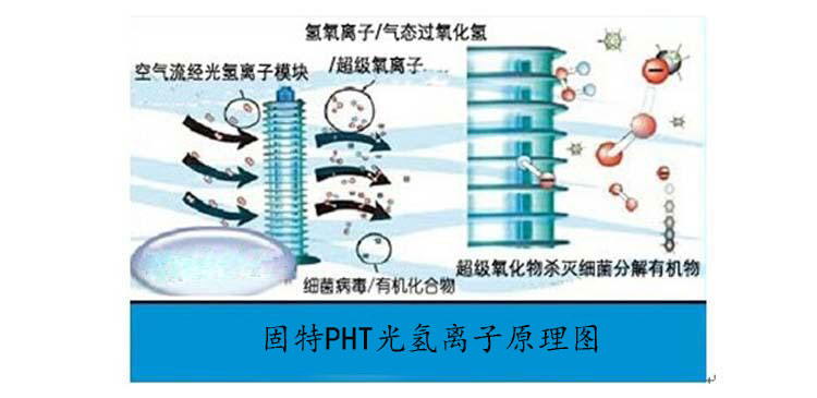 光氢离子净化器